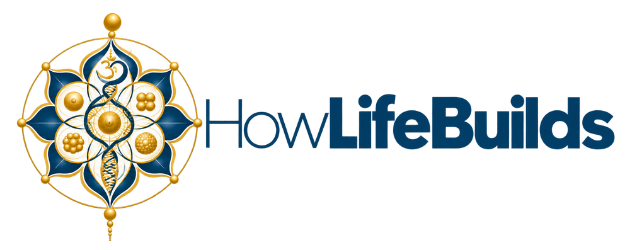 Howlifebuilds